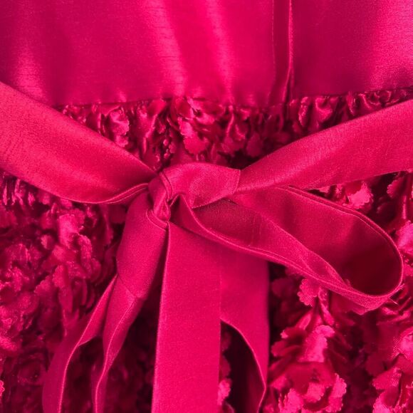 American Princess Dark Pink Satin Bodice Rose Skirt Tie Waist GIRLS Size 16.5 - Picture 6 of 10